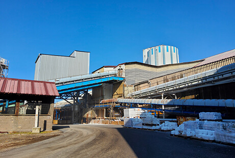 Cie des Salins du midi et salines de l'Est
